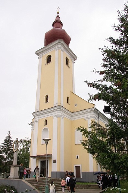 IMG_6556.jpg