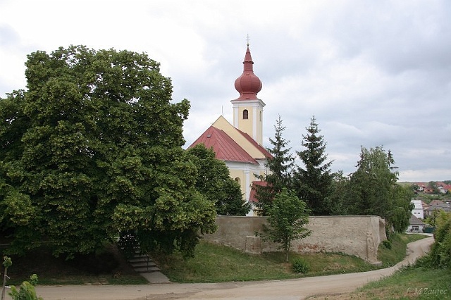 IMG_6752.jpg
